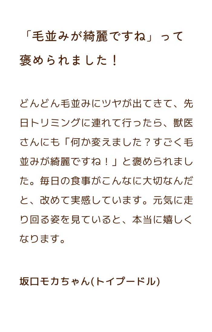 お客様の声3